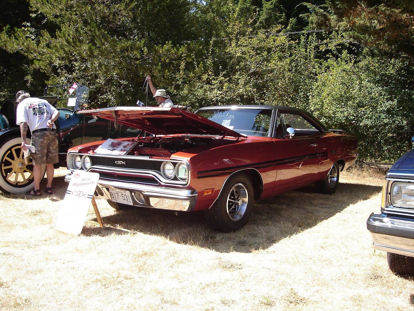 Car Show Parksville Car Show Parksville